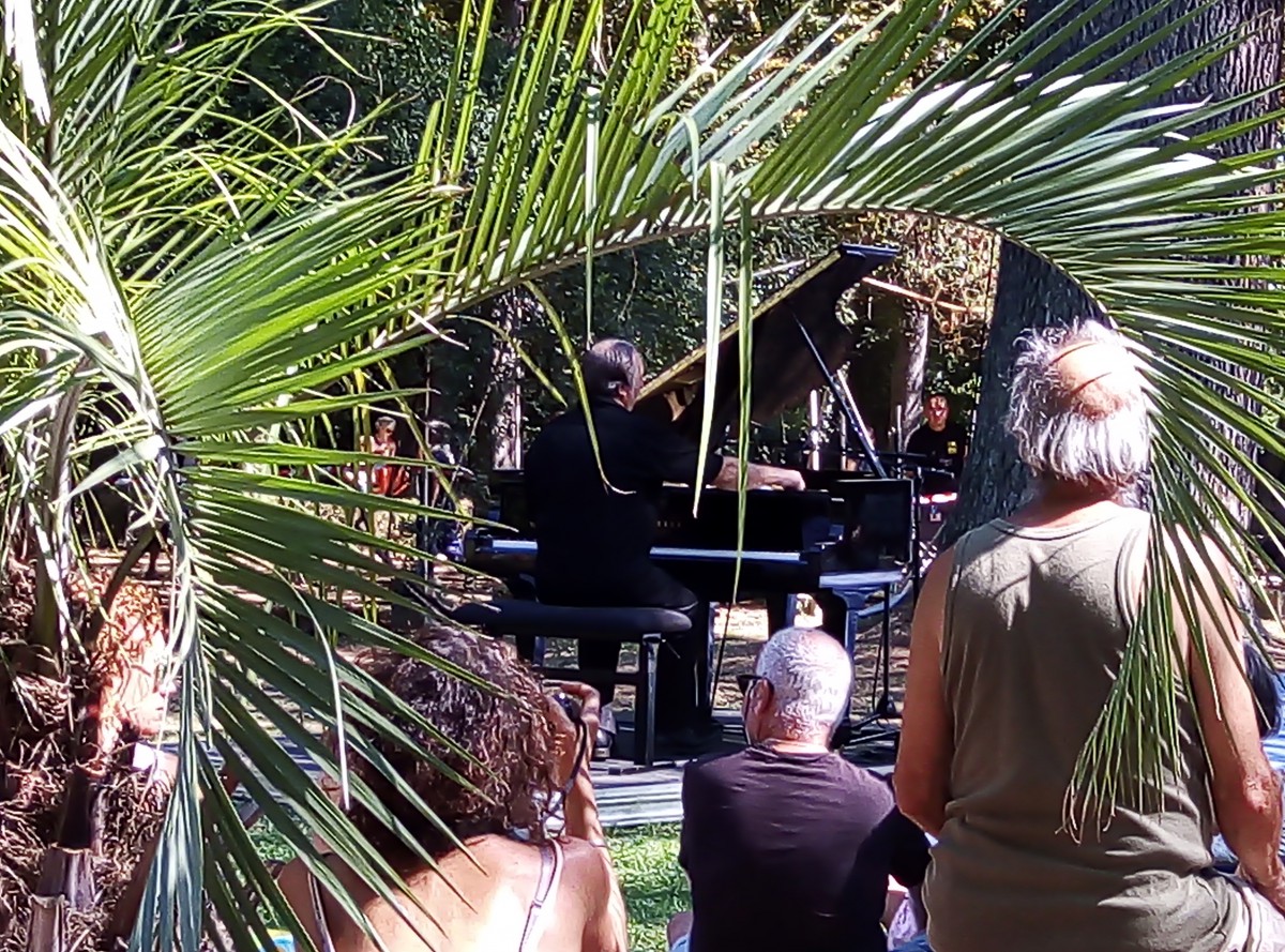Un piano sous les arbres