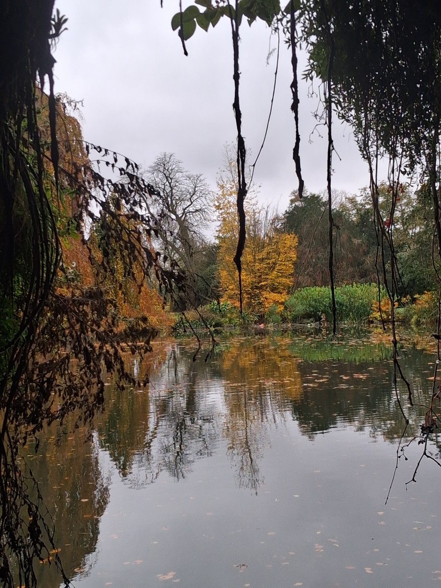 Parc de Saint Cloud. Marche rapide objectif 5km/h