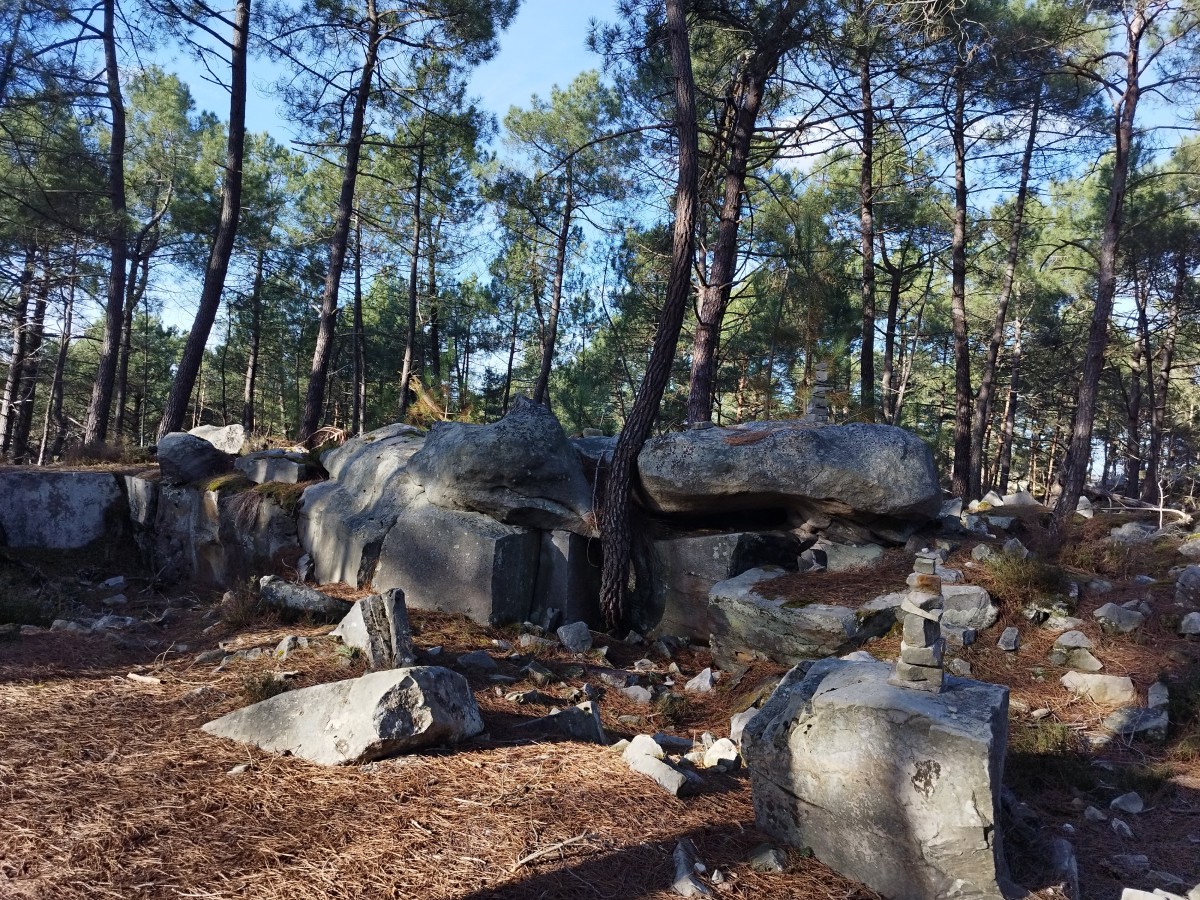 RANDO FONTAINEBLEAU