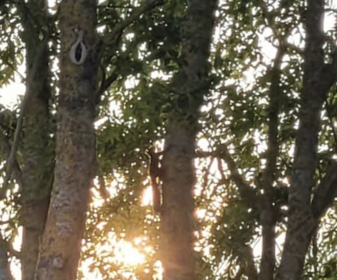 La balade des gens heureux.