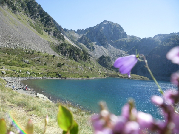 CAUTERETS , Rhododendrons Lacs et Cascades