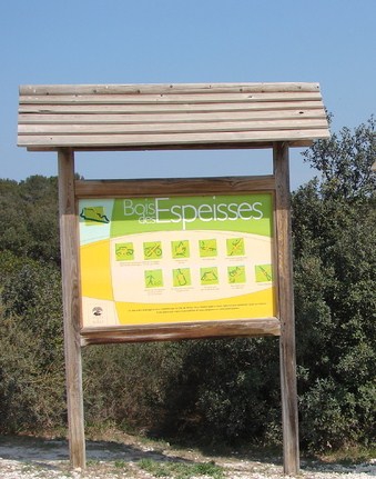 BOIS DES ESPEISSES.