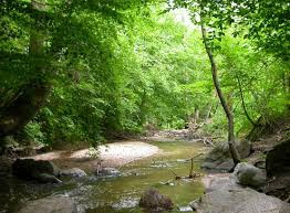 Balade du Grand Moulin d'Yzeron