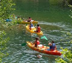 Canoë : descente du Vieux Rhône