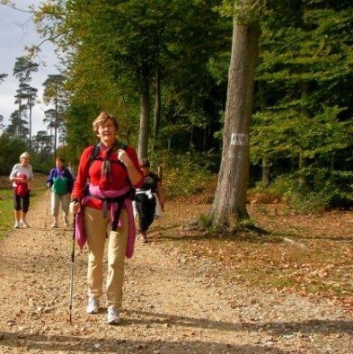 MARCHONS ENSEMBLE en forêt verte