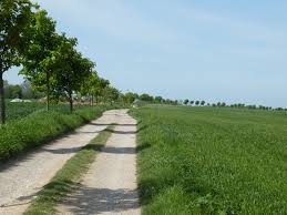 randonnée: le mont de Drionville