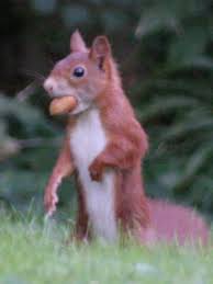 Marche et repas