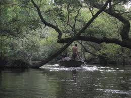 Le Courant d'Huchet dans les Landes