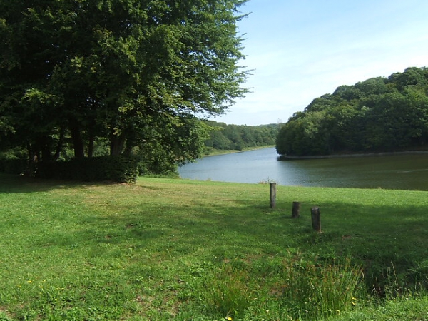 Marche au Vignoble