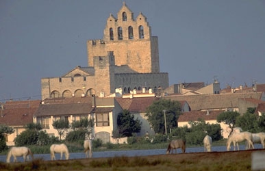 Pélerinage Gitans Stes MARIES DE LA MER.