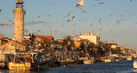 IL TE RESTE DES SOUS ???