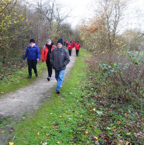 Balade à l'étang du Vignoble