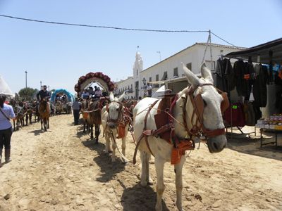 Connaissance du monde : l'Andalousie