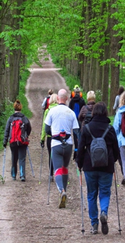 Un chemin sur les pas de le nôtre