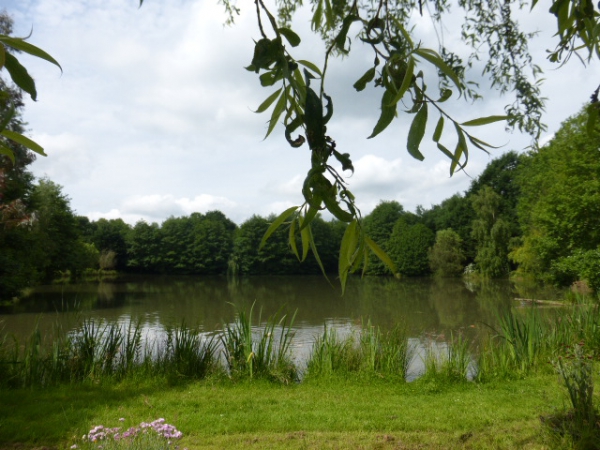 Journée à la campagne - Ste Gemmes le R.