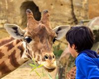 Zoo de Doué La Fontaine