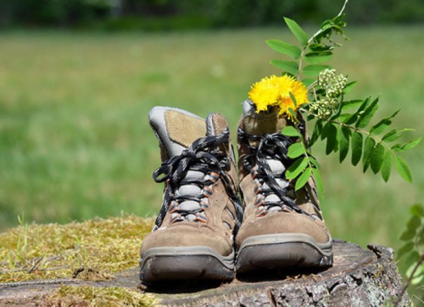 Balade du mercredi..