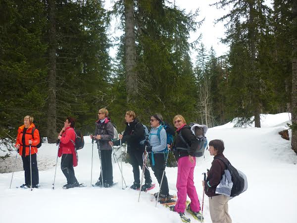 séjour raquettes ou ski de fond GD Bornand