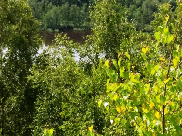 Marche découverte Forêt de Raismes