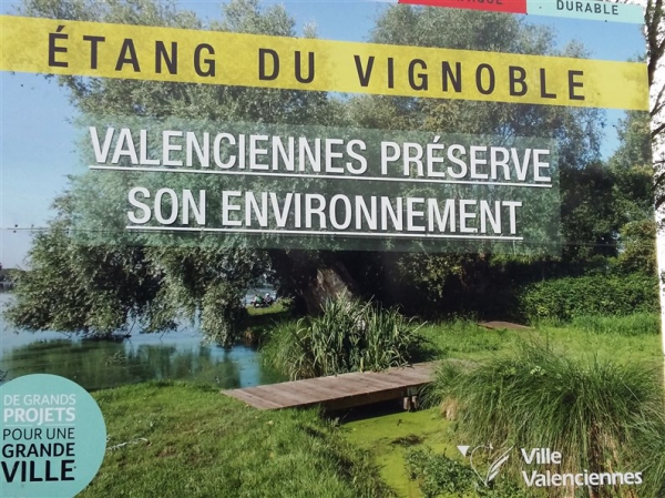 Marche Etang du Vignoble Val et Pik-nik