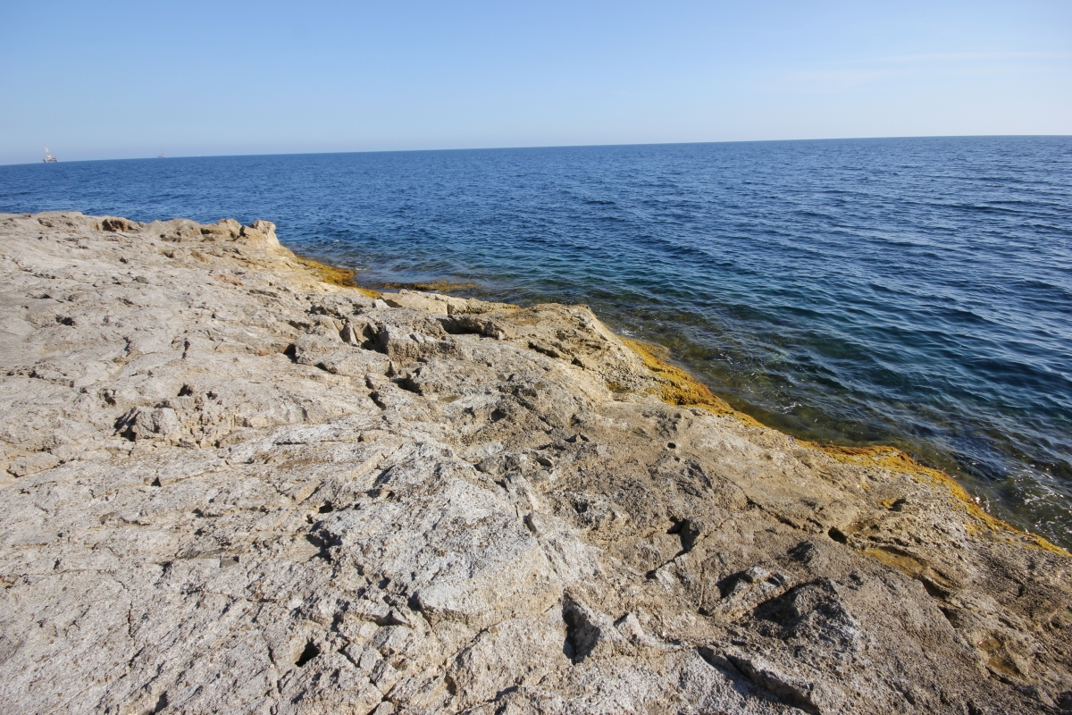 Visite des salins Aigues Mortes