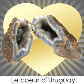 Expo-Conférence