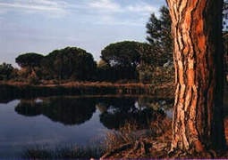 Promenade  L'ETANG DU PONANT.