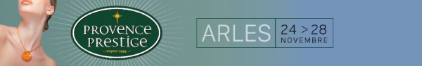 Salon Provence Prestige à Arles
