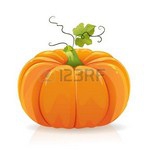 Fête de la courge