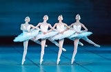Ballet Le Lac des Cygnes Chavant