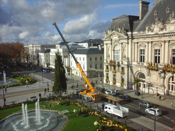 Le sapin de Noël  est arrivée !