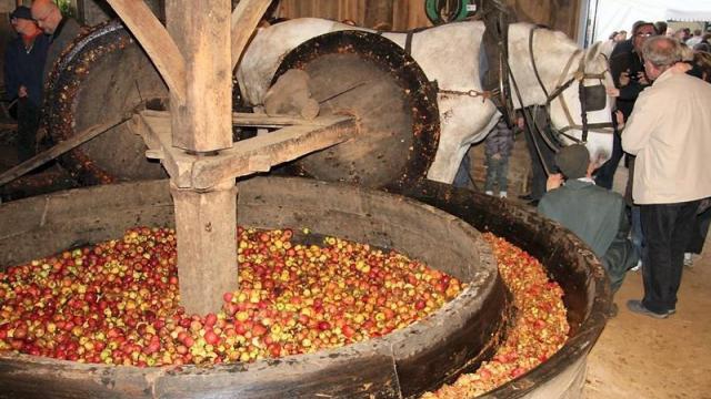 Fête du cidre à l'Hôtellerie de Flée  (près de Segré)