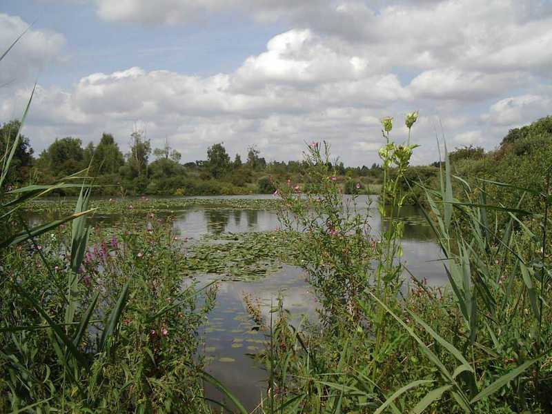 Rando : autour des marais