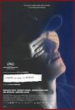 Cinema 
