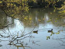 Balade...pique-nique...détente