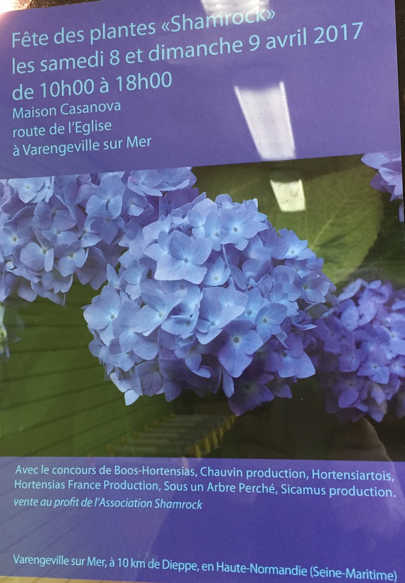 Fête des plantes Shamrock