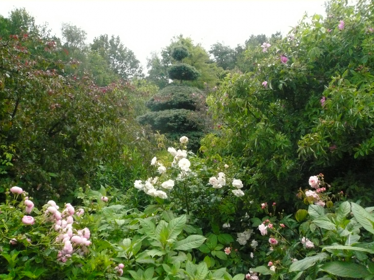 Visite du jardin des marais à Herbignac