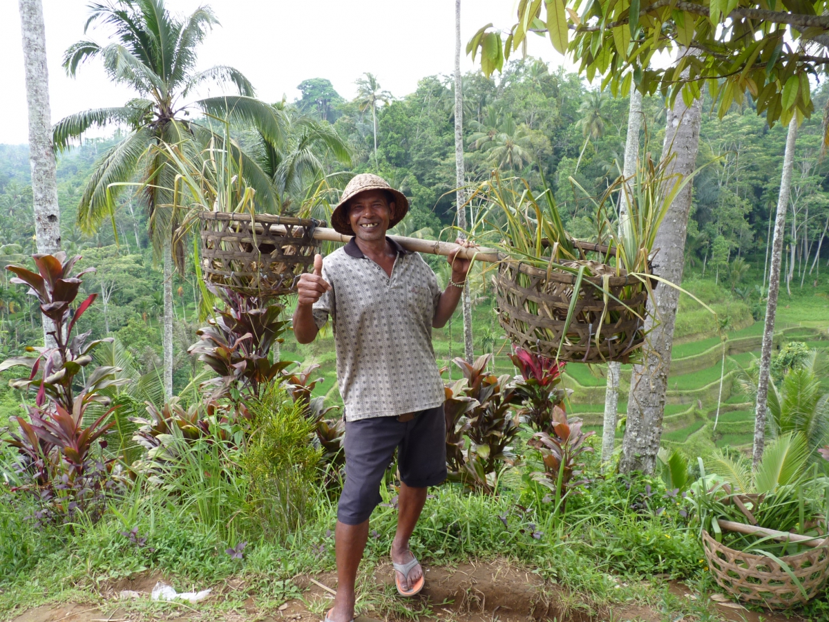 Séjour 3 sem à Bali, du 12/09/17 au 03/10/17