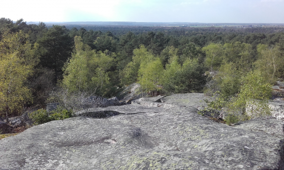 Balade dans les gorges de Franchard, forêt de Fontainebleau