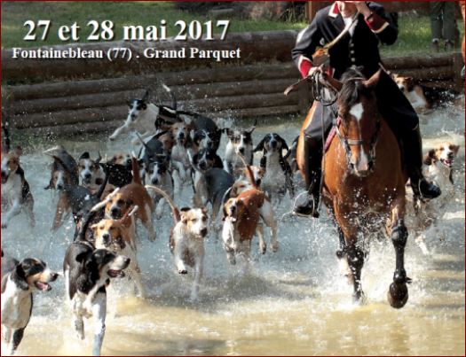 Venerie à FONTAINEBLEAU