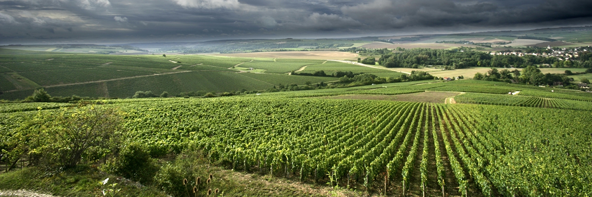 LA TOURNEE DES GRANDS CRUS
