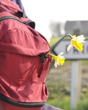 Rando en forêt de Bord