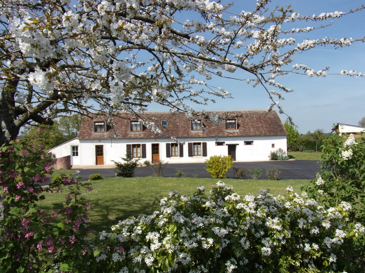 Feu de la Saint Jean