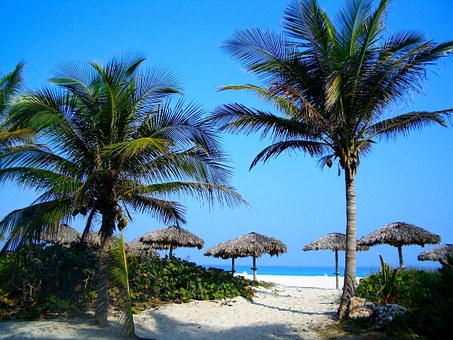 brunch vacances tropicales