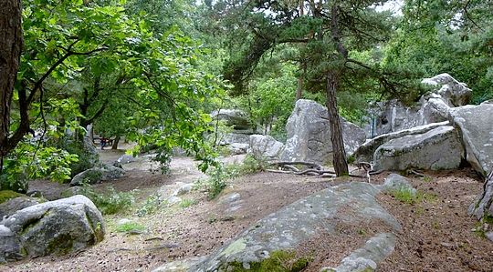 Balade sur les hauteurs de Buthiers