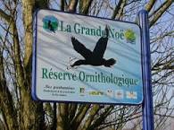 Sortie ornithologique