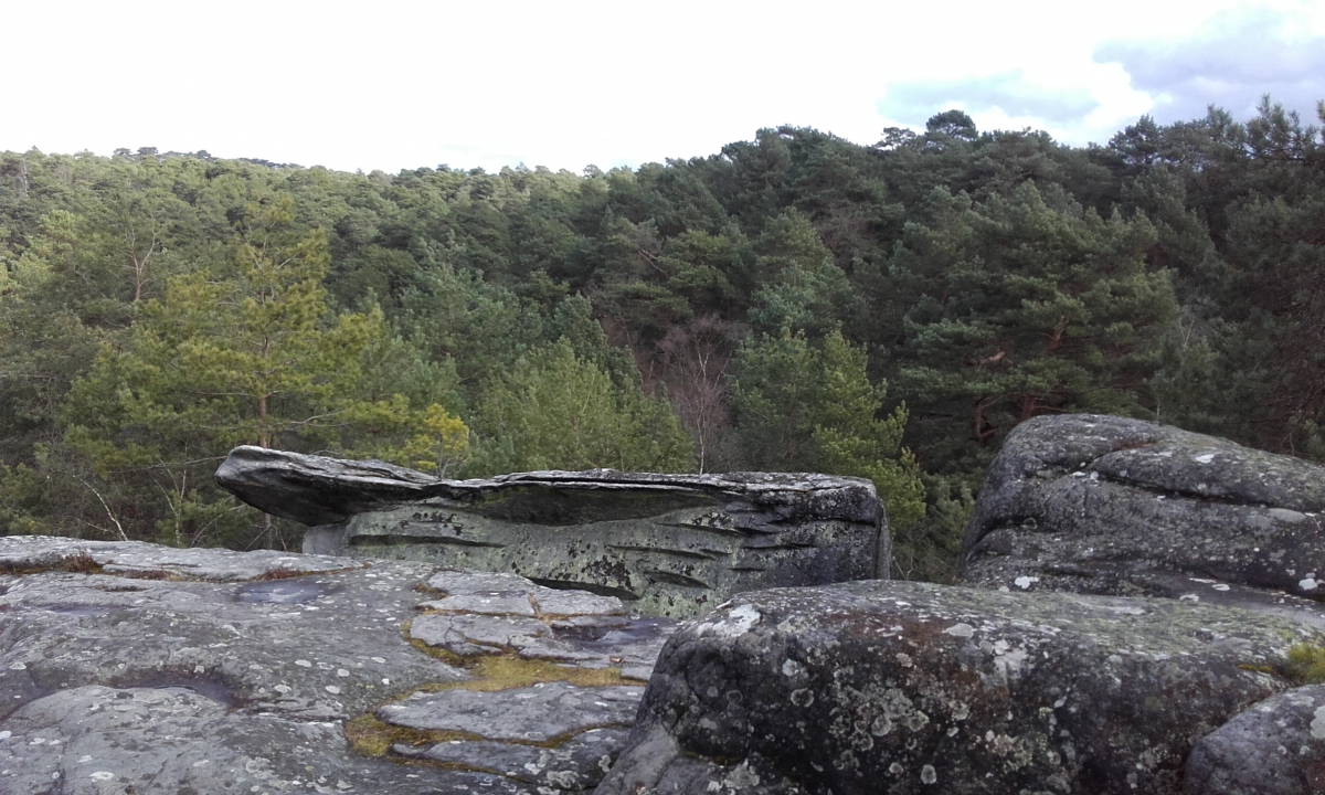 Balade dans les gorges de Franchard, forêt de Fontainebleau