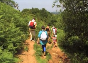 Marche en forêt de Raismes
