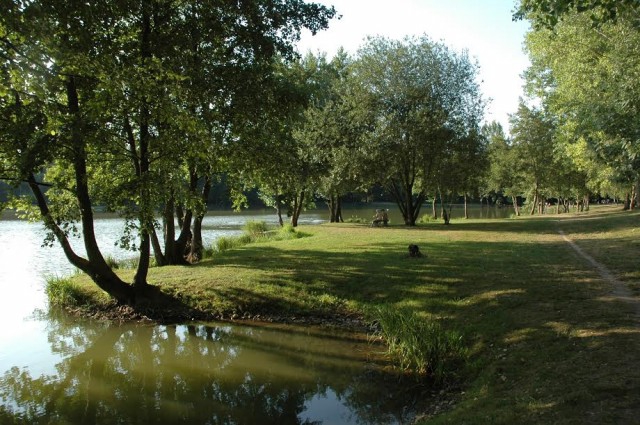 Foire aux  chataignes à Faramans
