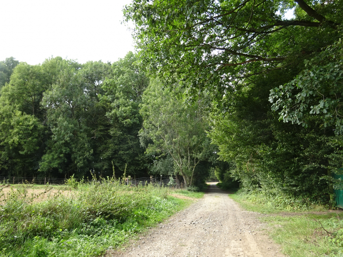 Le Circuit du Tronquoy à Montigny en Cis